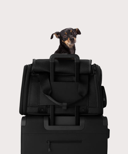 Dagne Dover Large Kyoto Pet Carrier in black displaying luggage sleeve with a dog inside the carrier.